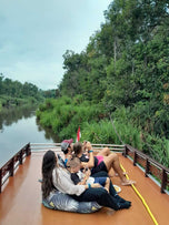 探索婆罗洲红毛猩猩 (3 天 2 夜) 私人/共享 (定制行程)